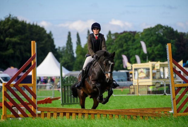 Revesby-Country-Fair-equine-image