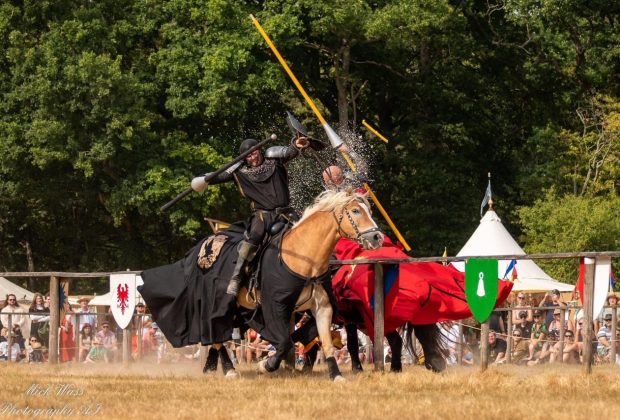 Knights-of-Albion-2-1